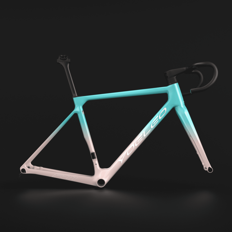 R11 FRAME SET CUSTOM PAINT (FADED) - YOELEO