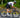 Rider descending with hands in the drops