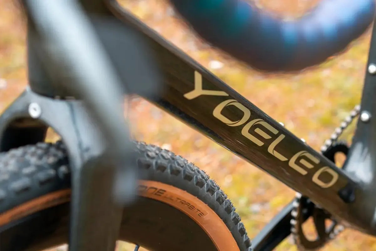 Yeoelo Altera G21 Carbon Frame