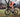 Altera G21 carbon gravel frame racing on loose gravel