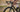 Rider on a light weight Yoeleo carbon wheels