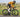 Rider sprinting on Yoeleo NxT SL2 C50