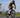 Rider sprinting on Yoeleo carbon bicycle