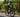 Rider using Yoeleo R12 for double century ride