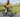 Rider showing reach and stack