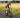 Rider on yoeleo R12 and NxT C60