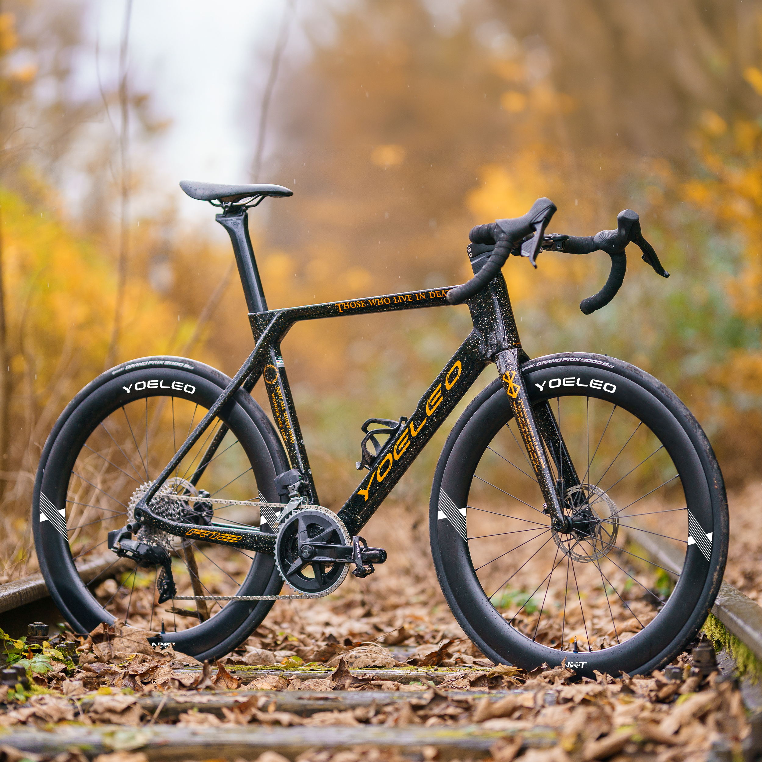 Best Value Carbon Wheels - Best Road Carbon Wheels Best Value Carbon Wheels - Best Road Carbon Wheels