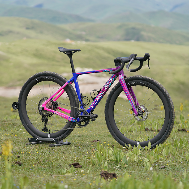 Altera G21 DB Gravel Bike Frameset Panda Purple - YOELEO
