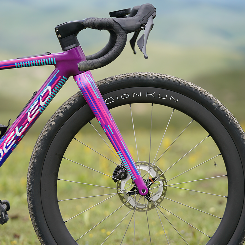 Altera G21 DB Gravel Bike Frameset Panda Purple - YOELEO