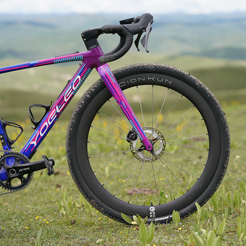 Altera G21 DB Gravel Bike Frameset Panda Purple - YOELEO