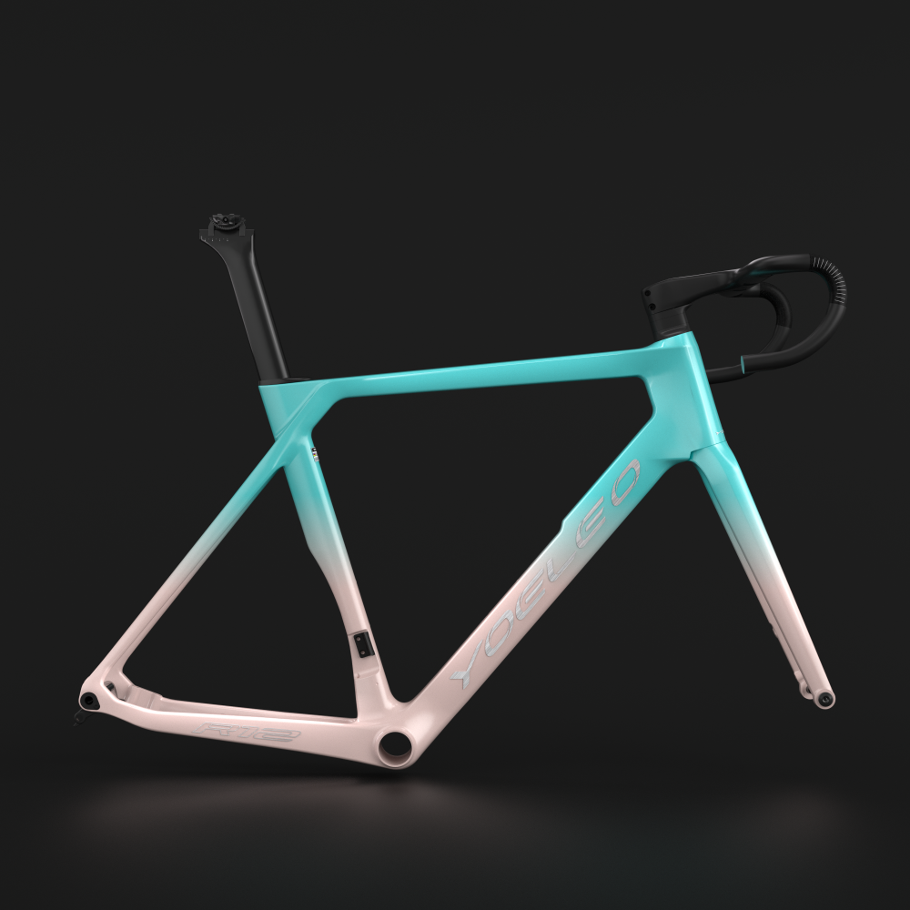 R12 FRAME SET CUSTOM PAINT (FADED) - YOELEO