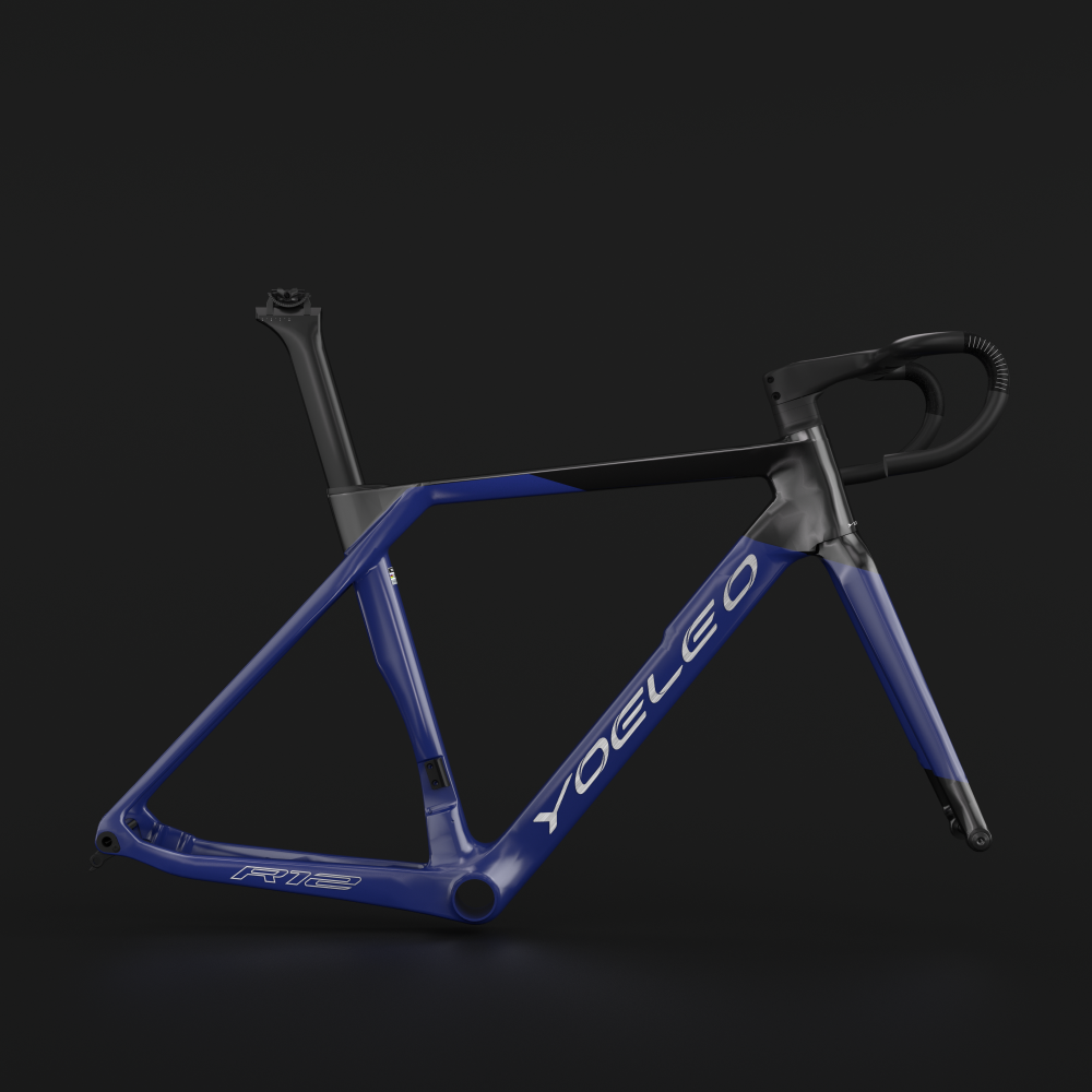 R12 FRAME SET CUSTOM PAINT CUT YOELEO
