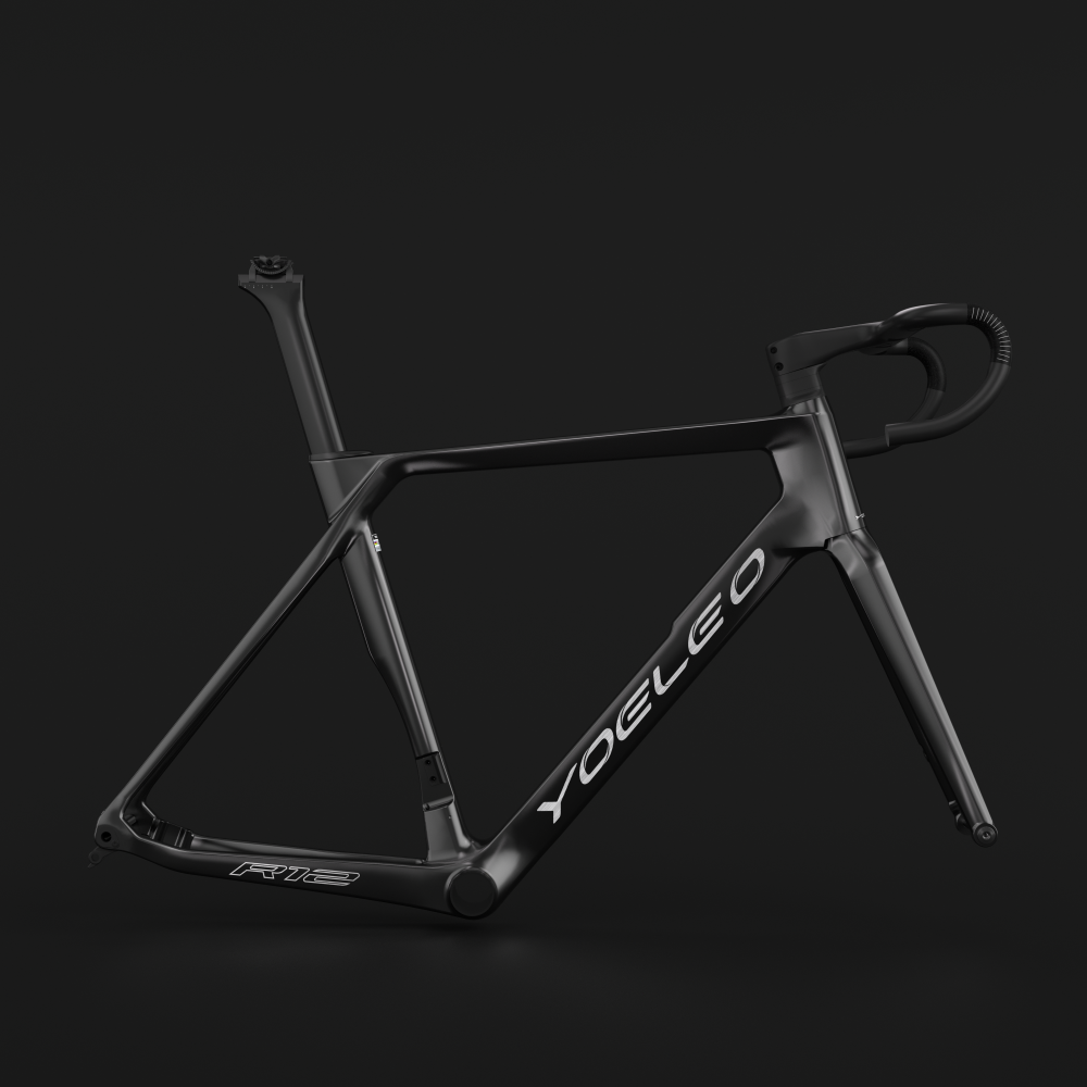 R12 FRAME SET CUSTOM PAINT Service Classic