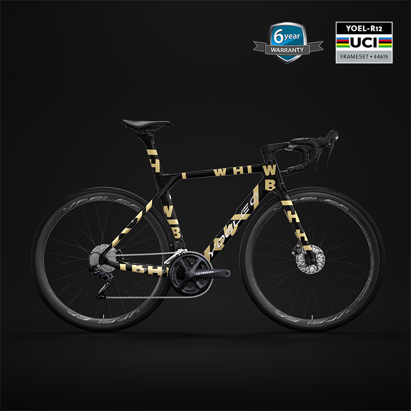 Carbon Di2 Road Bike YOELEO R12 Carbon Disc Brake Bike