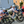 Load image into Gallery viewer, R12 DB Disc Brake Bike Frameset - YOELEO

