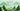 dragon boat festival 2026 mobile banner