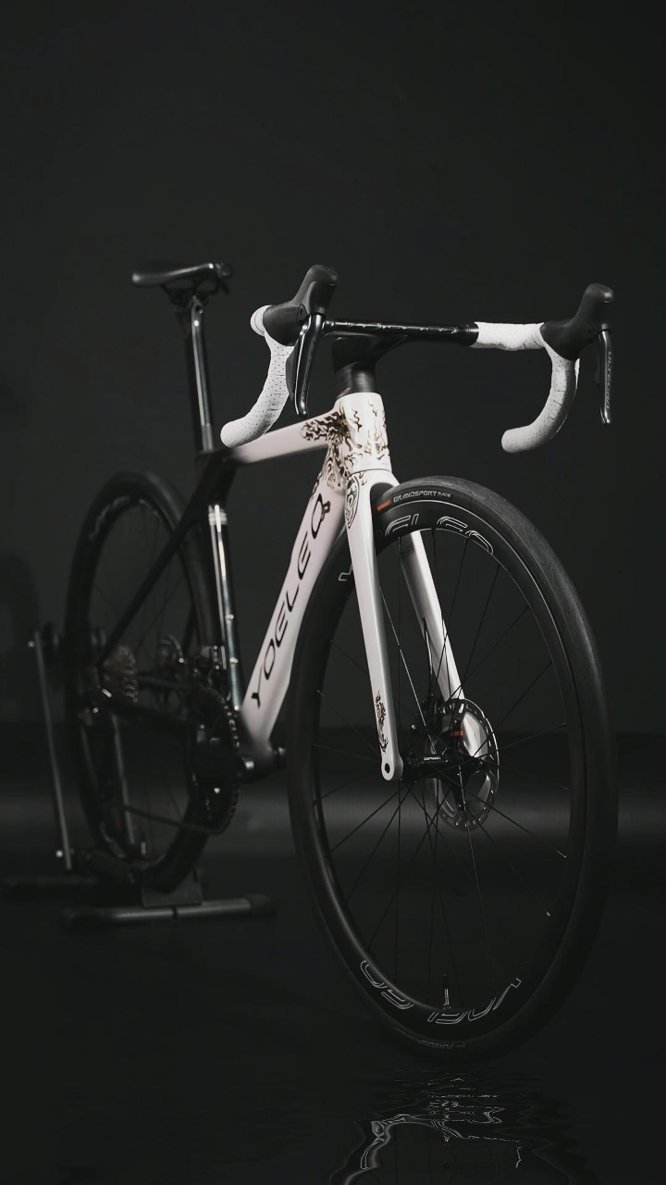 R12 DB Dragon Limited Edition
