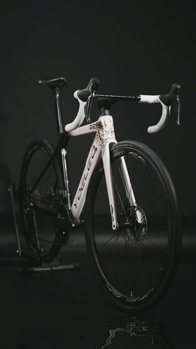 R12 DB Dragon Limited Edition